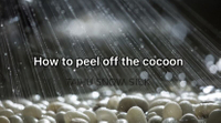 //imrorwxhqomjjo5p-static.ldycdn.com/cloud/lqBpqKpklmSRkjnoqmmnim/QQtupian20210713144536.jpg